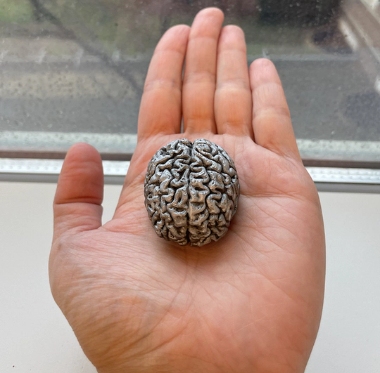 My brain in the palm of my hand