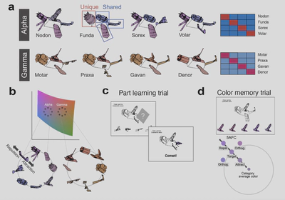 Memory game visualization